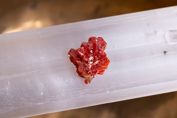 Vanadinite Specimen #2 - Premium Crystals + Gifts from Clarity Co. - NZ's Favourite Online Crystal Shop