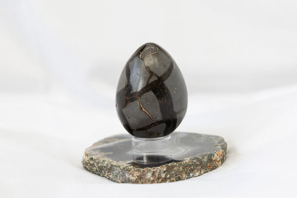 Septarian Egg - Premium Crystals + Gifts from Clarity Co. - NZ's Favourite Online Crystal Shop