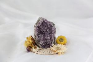 Amethyst Cut Base #5 - Premium Crystals + Gifts from Clarity Co. - NZ's Favourite Online Crystal Shop