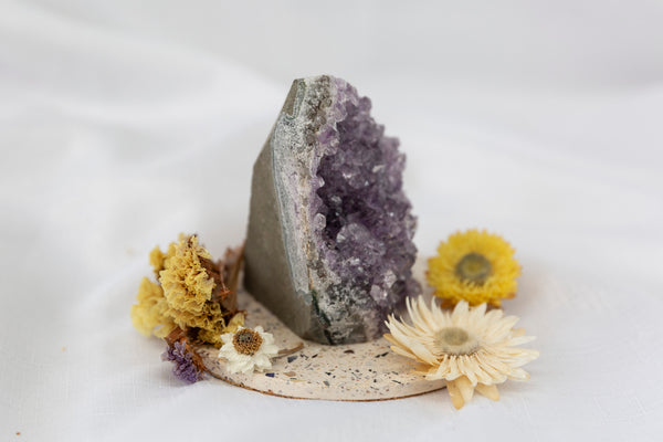 Amethyst Cut Base #5 - Premium Crystals + Gifts from Clarity Co. - NZ's Favourite Online Crystal Shop