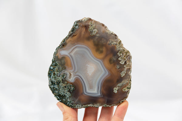 Moss Agate Slab #1 - Premium Crystals + Gifts from Clarity Co. - NZ's Favourite Online Crystal Shop