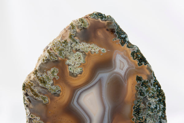 Moss Agate Slab #1 - Premium Crystals + Gifts from Clarity Co. - NZ's Favourite Online Crystal Shop