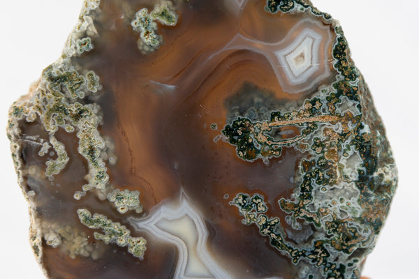 Moss Agate Slab #2 - Premium Crystals + Gifts from Clarity Co. - NZ's Favourite Online Crystal Shop