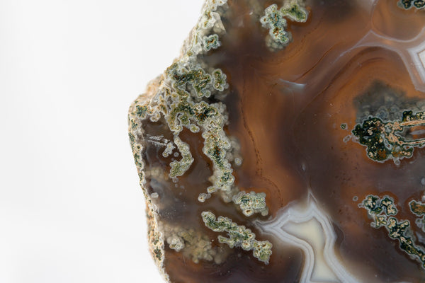 Moss Agate Slab #2 - Premium Crystals + Gifts from Clarity Co. - NZ's Favourite Online Crystal Shop