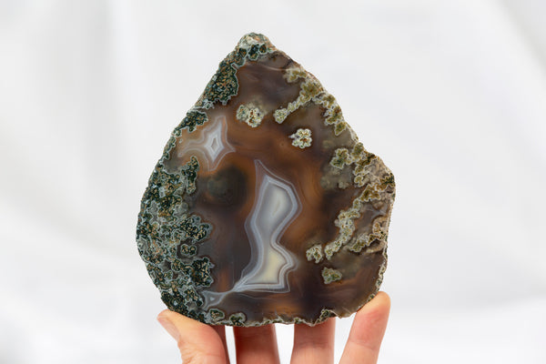 Moss Agate Slab #2 - Premium Crystals + Gifts from Clarity Co. - NZ's Favourite Online Crystal Shop