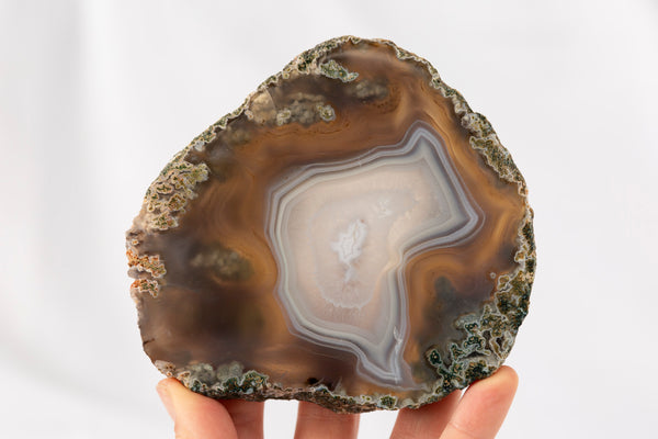 Moss Agate Slab #3 - Premium Crystals + Gifts from Clarity Co. - NZ's Favourite Online Crystal Shop