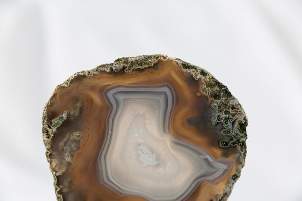 Moss Agate Slab #3 - Premium Crystals + Gifts from Clarity Co. - NZ's Favourite Online Crystal Shop