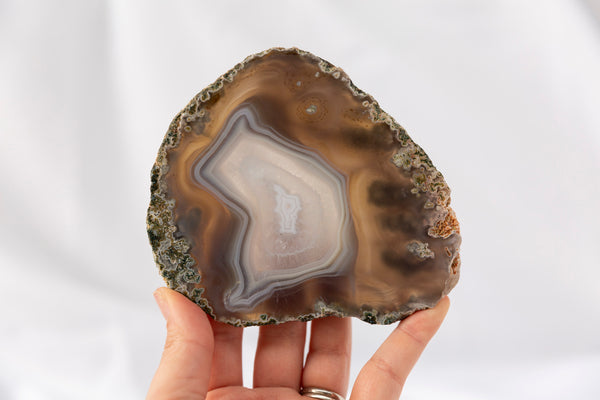 Moss Agate Slab #4 - Premium Crystals + Gifts from Clarity Co. - NZ's Favourite Online Crystal Shop