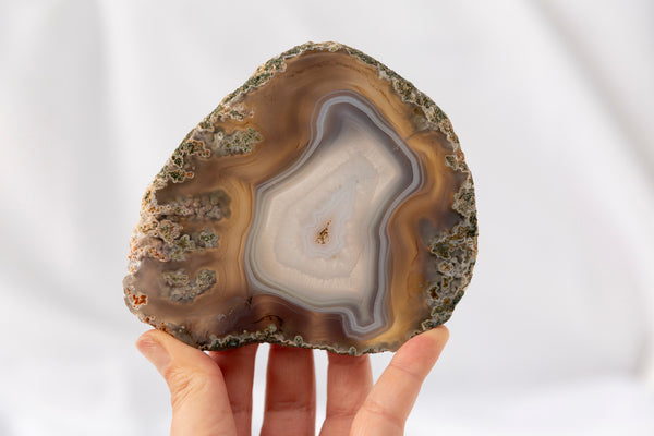 Moss Agate Slab #4 - Premium Crystals + Gifts from Clarity Co. - NZ's Favourite Online Crystal Shop