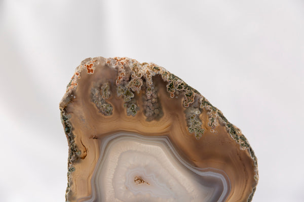 Moss Agate Slab #4 - Premium Crystals + Gifts from Clarity Co. - NZ's Favourite Online Crystal Shop