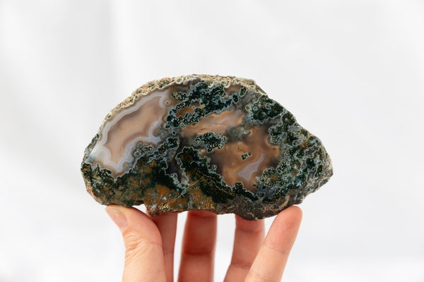 Moss Agate Slab #5 - Premium Crystals + Gifts from Clarity Co. - NZ's Favourite Online Crystal Shop