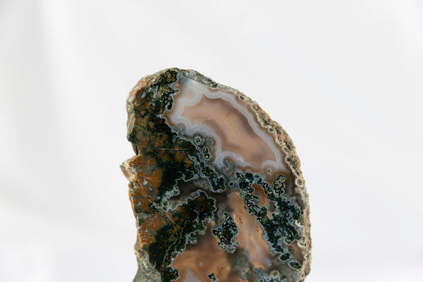 Moss Agate Slab #5 - Premium Crystals + Gifts from Clarity Co. - NZ's Favourite Online Crystal Shop