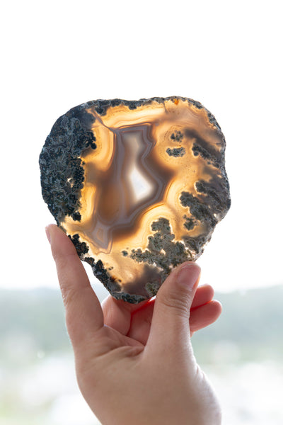 Moss Agate Slab #1 - Premium Crystals + Gifts from Clarity Co. - NZ's Favourite Online Crystal Shop