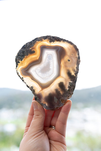 Moss Agate Slab #4 - Premium Crystals + Gifts from Clarity Co. - NZ's Favourite Online Crystal Shop