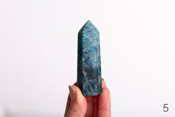 Blue Apatite Polished Points - Premium Crystals + Gifts from Clarity Co. - NZ's Favourite Online Crystal Shop