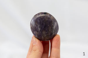 Lepidolite Palmstones - Premium Crystals + Gifts from Clarity Co. - NZ's Favourite Online Crystal Shop