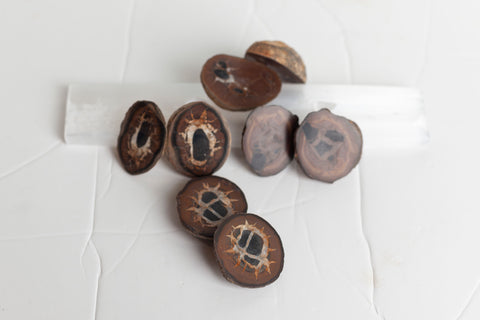 Septarian Pairs - Premium Crystals + Gifts from Clarity Co. - NZ's Favourite Online Crystal Shop