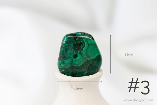 Malachite Large Tumblestones - Premium Crystals + Gifts from Clarity Co. - NZ's Favourite Online Crystal Shop