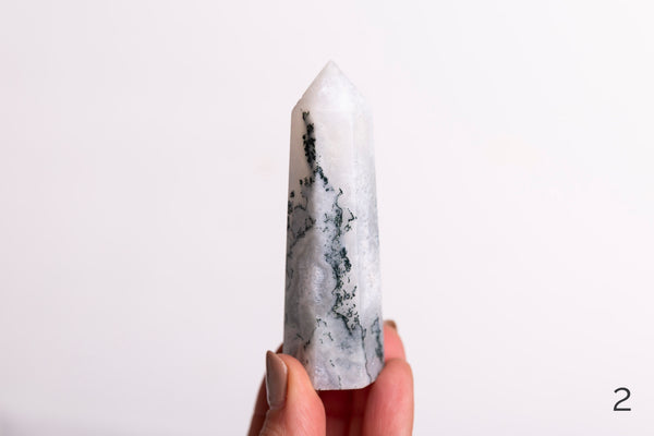 Moss Agate Polished Points - Premium Crystals + Gifts from Clarity Co. - NZ's Favourite Online Crystal Shop