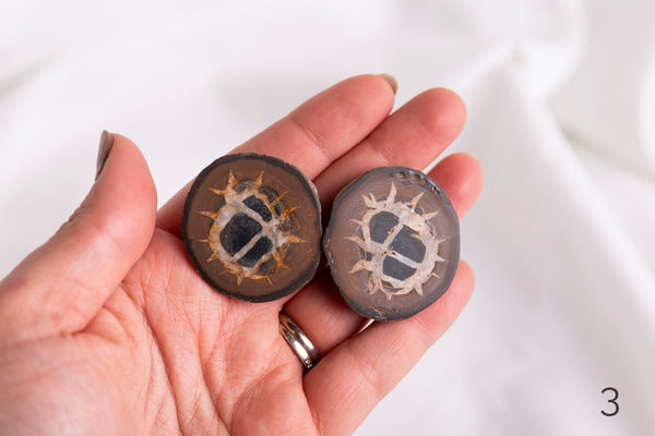 Septarian Pairs - Premium Crystals + Gifts from Clarity Co. - NZ's Favourite Online Crystal Shop