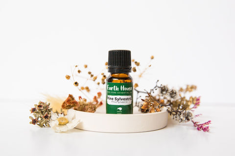 Pine Sylvestris Essential Oil - Earth House - Premium Crystals + Gifts from Earth House - NZ's Favourite Online Crystal Shop